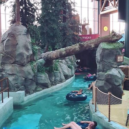 M.Home charmant dans un cadre verdoyant 15 mn d europa park et rulantika Boofzheim Extérieur photo