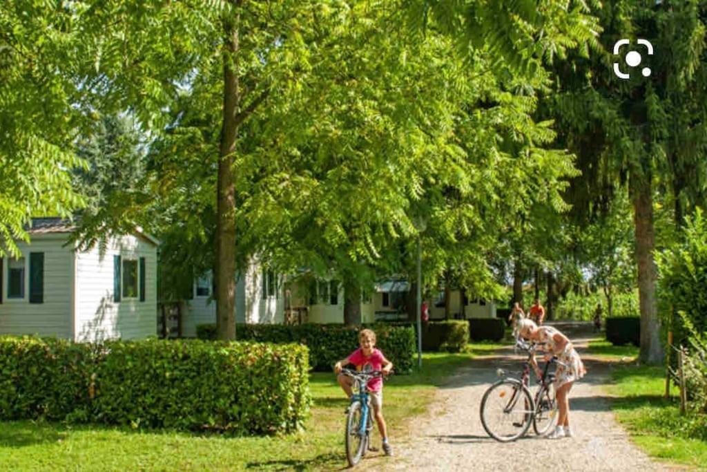 M.Home charmant dans un cadre verdoyant 15 mn d europa park et rulantika Boofzheim Extérieur photo