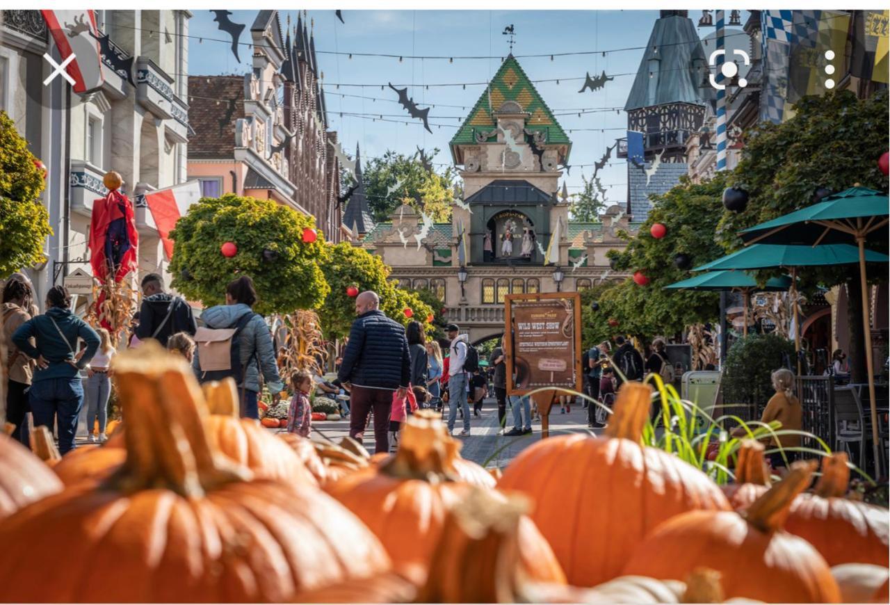 M.Home charmant dans un cadre verdoyant 15 mn d europa park et rulantika Boofzheim Extérieur photo