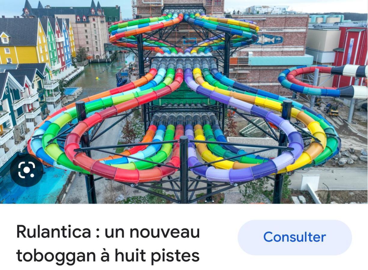 M.Home charmant dans un cadre verdoyant 15 mn d europa park et rulantika Boofzheim Extérieur photo