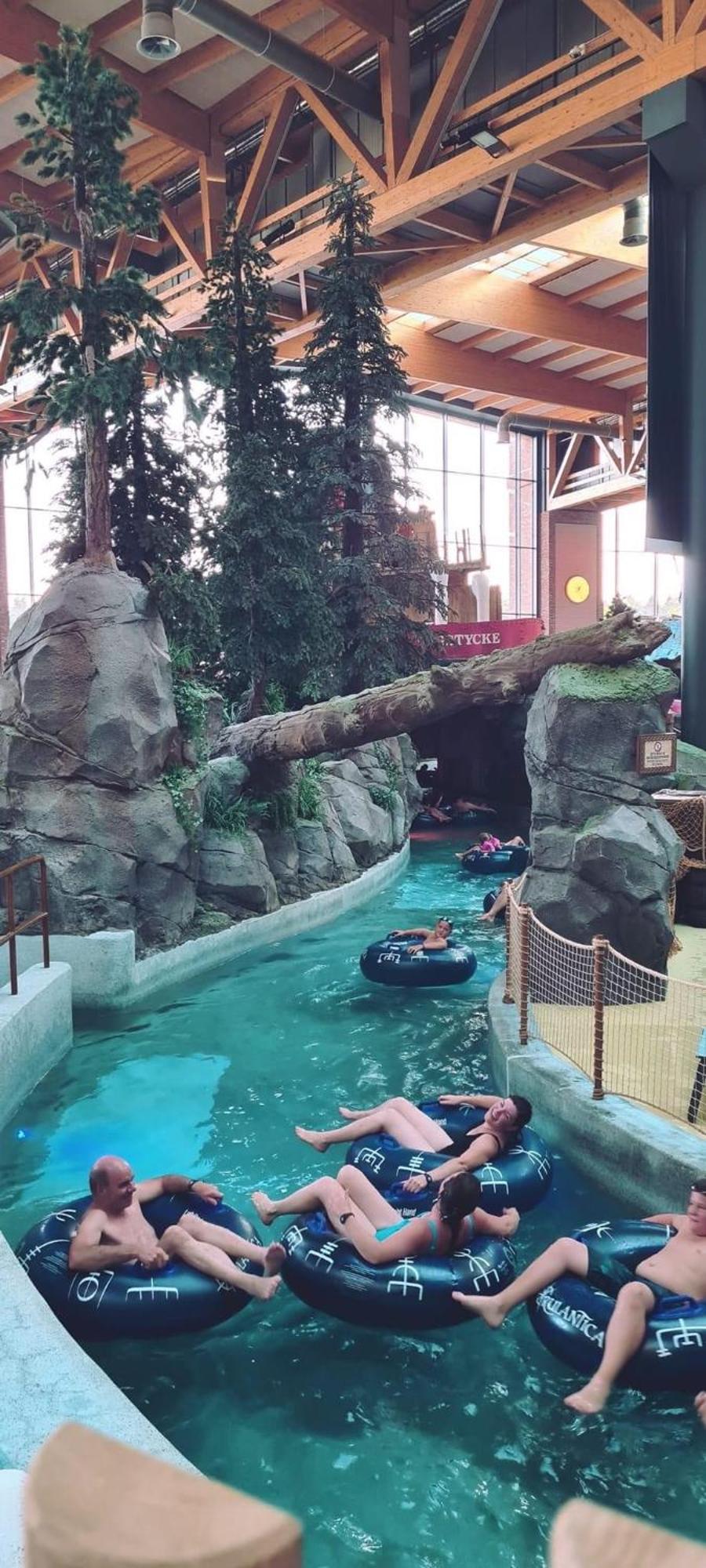 M.Home charmant dans un cadre verdoyant 15 mn d europa park et rulantika Boofzheim Extérieur photo