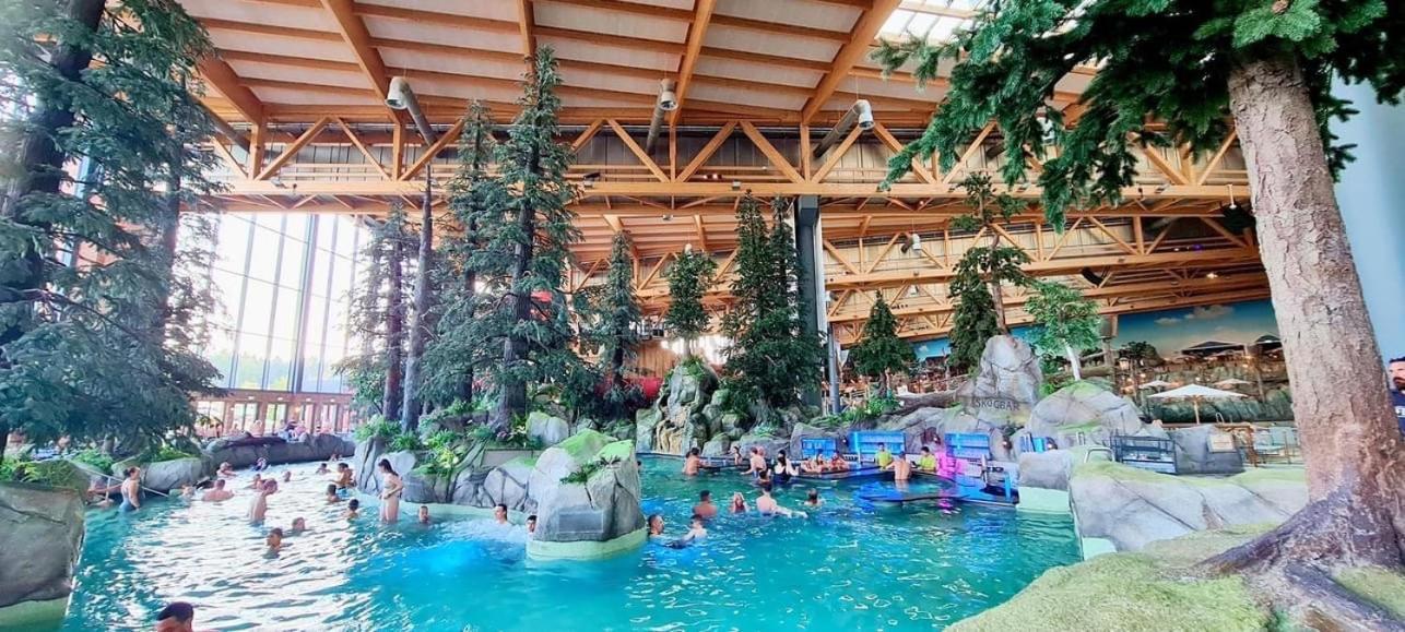 M.Home charmant dans un cadre verdoyant 15 mn d europa park et rulantika Boofzheim Extérieur photo